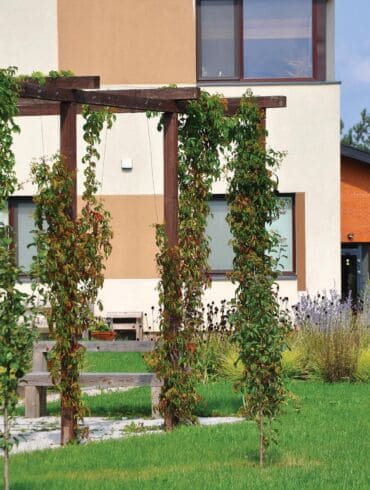 15 arų sklypo projektas: kaip suderinti erdvę ir privatumą?