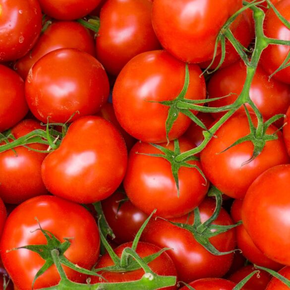 15 pačių geriausių receptų iš pomidorų