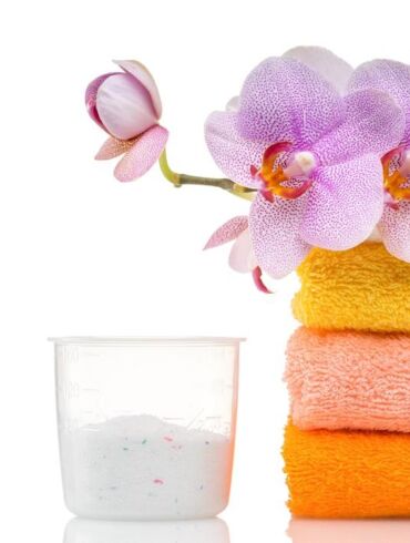 5 dalykai