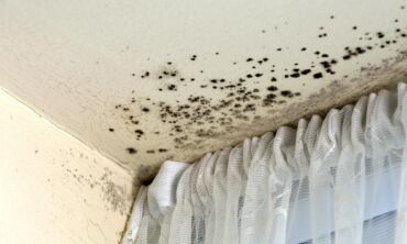 5 netikėtos vietos namuose kilti pelėsiui