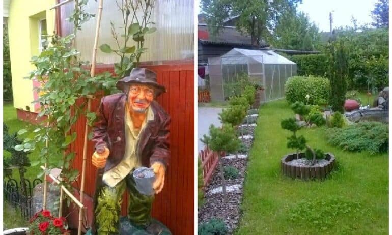 7 arų aplinka Panevėžyje: vietoj naujų batų – gėlės sodui