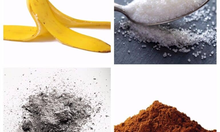 9 natūralios ir nedaug atsieisiančios trąšos kambarinėms gėlėms