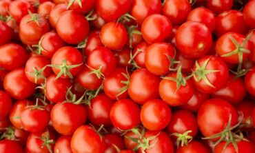 Agronomas pataria: pirmieji pavasario darbai – nuo ko pradėti?
