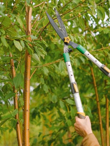 Aktualu šiltuoju sezonu: kaip išsirinkti kokybišką genėjimo įrankį - sekatorių?