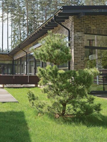 Aplinka Vilniaus priemiestyje: stilių padiktavo miškas