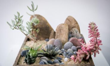 Apsilankymas parodoje „Augalų labirintai“: nuo gražiausių orchidėjų iki originaliausių florariumų virš 100 FOTO