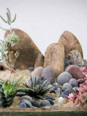 Apsilankymas parodoje „Augalų labirintai“: nuo gražiausių orchidėjų iki originaliausių florariumų virš 100 FOTO