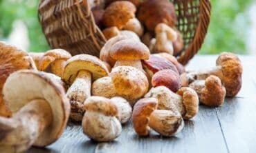 Apsinuodijimas grybais pasireiškia per 12 valandų: ką daryti pajutus simptomus?