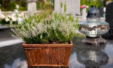 Artėjant Vėlinėms: ekspertės patarimai