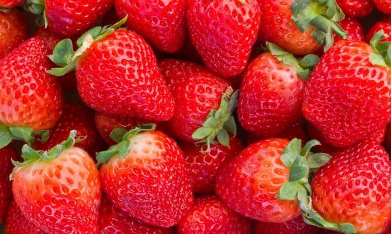 Braškių sodinimo ypatumai: kaip sėti ir