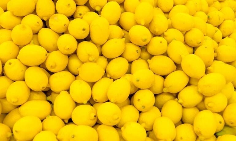 Citrina iš kauliuko: sėjimas