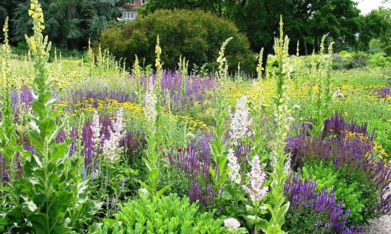 „Garden Style“: ar būtina derlinga žemė