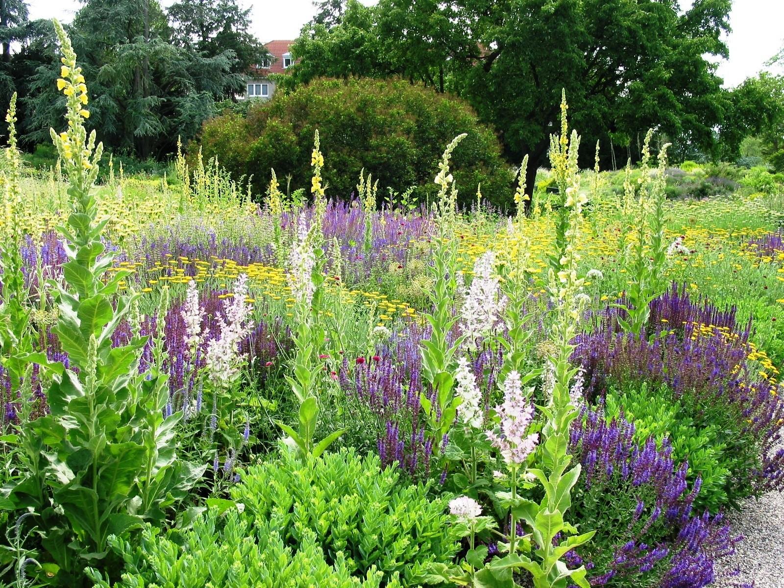 „Garden Style“: ar būtina derlinga žemė