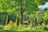 „Garden style“: patarimai