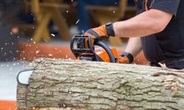 Grandininio pjūklo pasirinkimas: ką būtina žinoti?