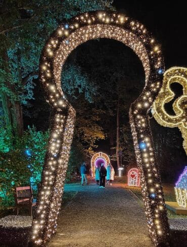 Į VU Botanikos sodą sugrįžta „Lumina“ parkas – lankytojus pasitiks „Alisa stebuklų sode“