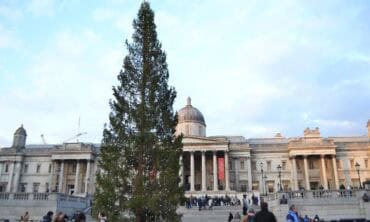 Įvertinkite: gražiausios Londono kalėdinės eglutės