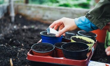 Ką nuveikti sode ir darže balandį? Apželdinimo žinovė įvardijo svarbiausius darbus ir pažėrė patarimų