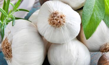 Ką svarbu nuveikti sode