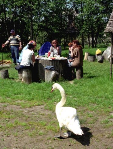 Kaimo turizmo asociacija: paskelbus karantiną pasipylė kaimo sodybų užsakymai