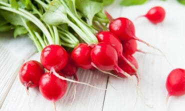 Kaip ant palangės užsiauginti ridikėlius