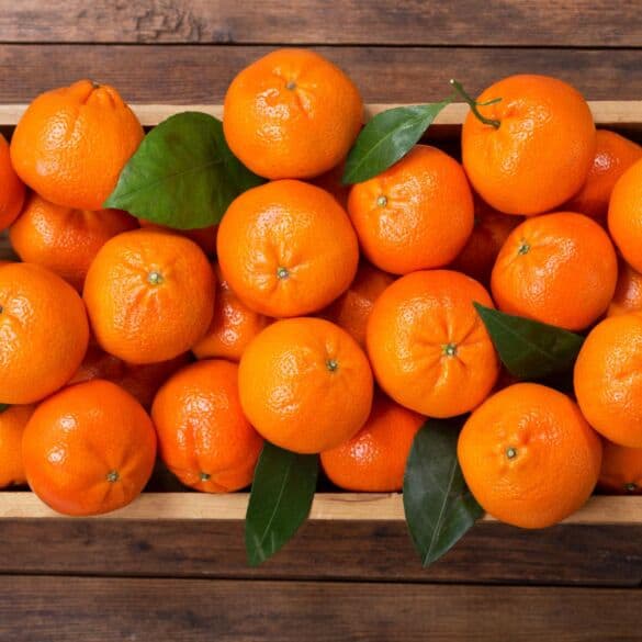 Kaip išauginti mandarinus iš kauliukų
