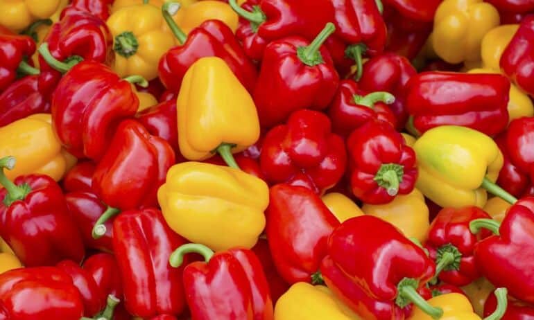 Kaip namuose užsiauginti saldžiųjų paprikų: papildomai neišleisite nė cento