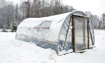 Kaip paprastai paruošti šiltnamį žiemai ir pavasariui