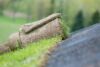 Kaip suvaldyti šlaito slinkimą kieme