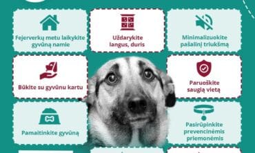 Kodėl reikia atsisakyti „pramogų” su fejerverkais?