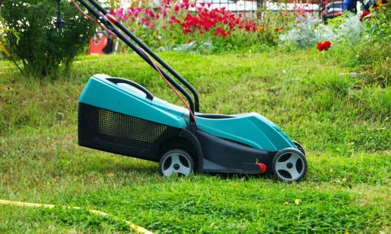 Kokią sodo techniką rinktis šiandien