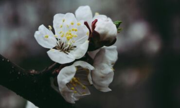 ManoNamai geram rytui: balandžio 26-oji