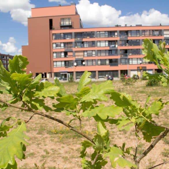 Miestų ateitis: kaip integruoti gyvenamąjį būstą į gamtą?
