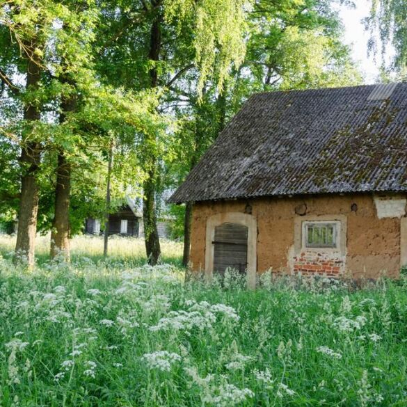 Molinai namai – protingas ar visgi pavojingas sprendimas?