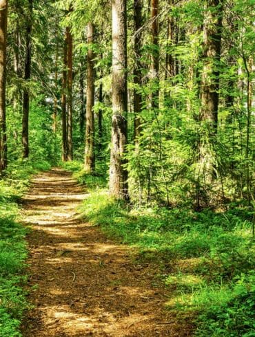 Nepaisant pasaulinių pažadų
