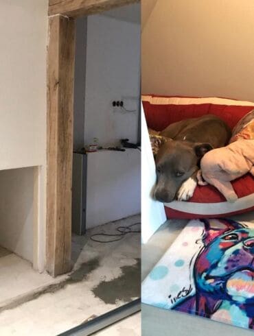 Originali idėja: šunų mylėtoja savo namuose įrengė „kambarį šunims“