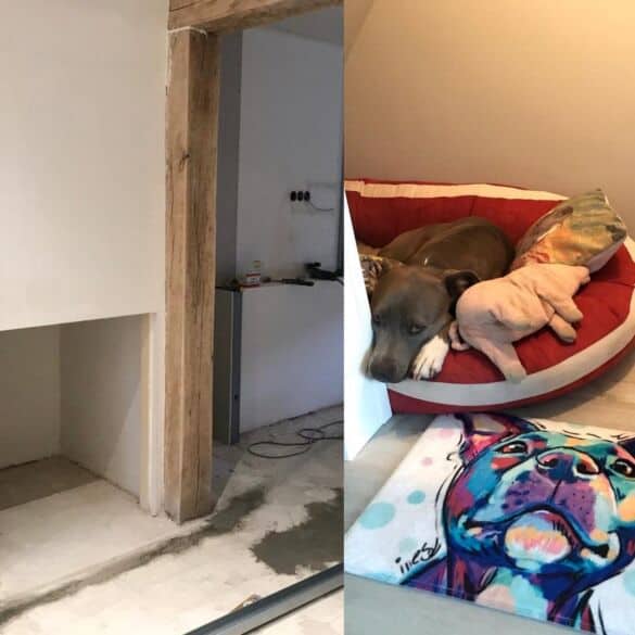 Originali idėja: šunų mylėtoja savo namuose įrengė „kambarį šunims“