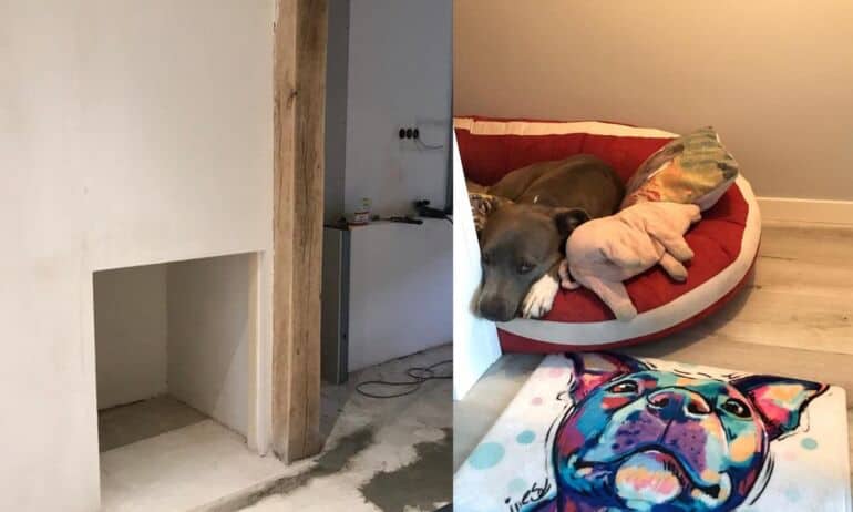 Originali idėja: šunų mylėtoja savo namuose įrengė „kambarį šunims“