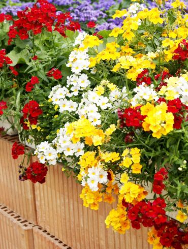 Patarimai: kaip auginti ir komponuoti gėles balkone