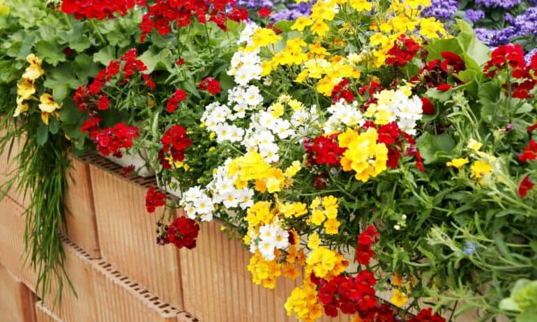 Patarimai: kaip auginti ir komponuoti gėles balkone