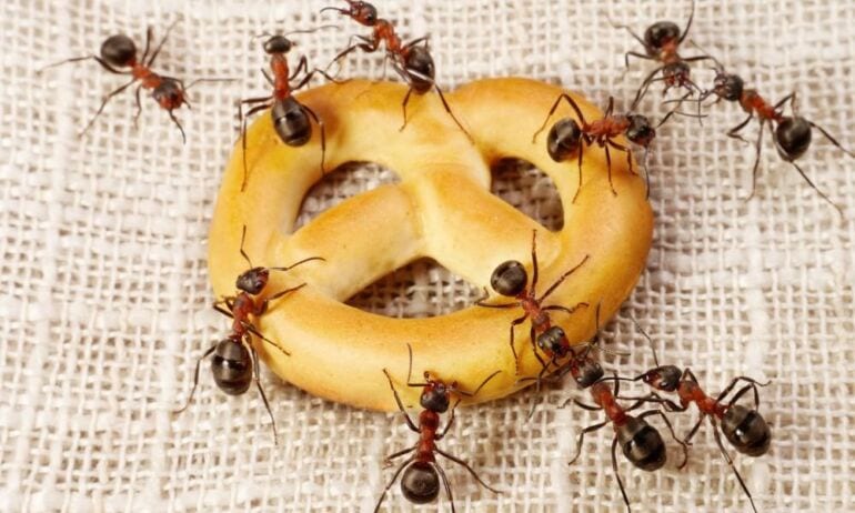 Patarimai