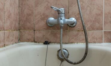 Pelėsis vonioje: kaip jo atsikratyti?
