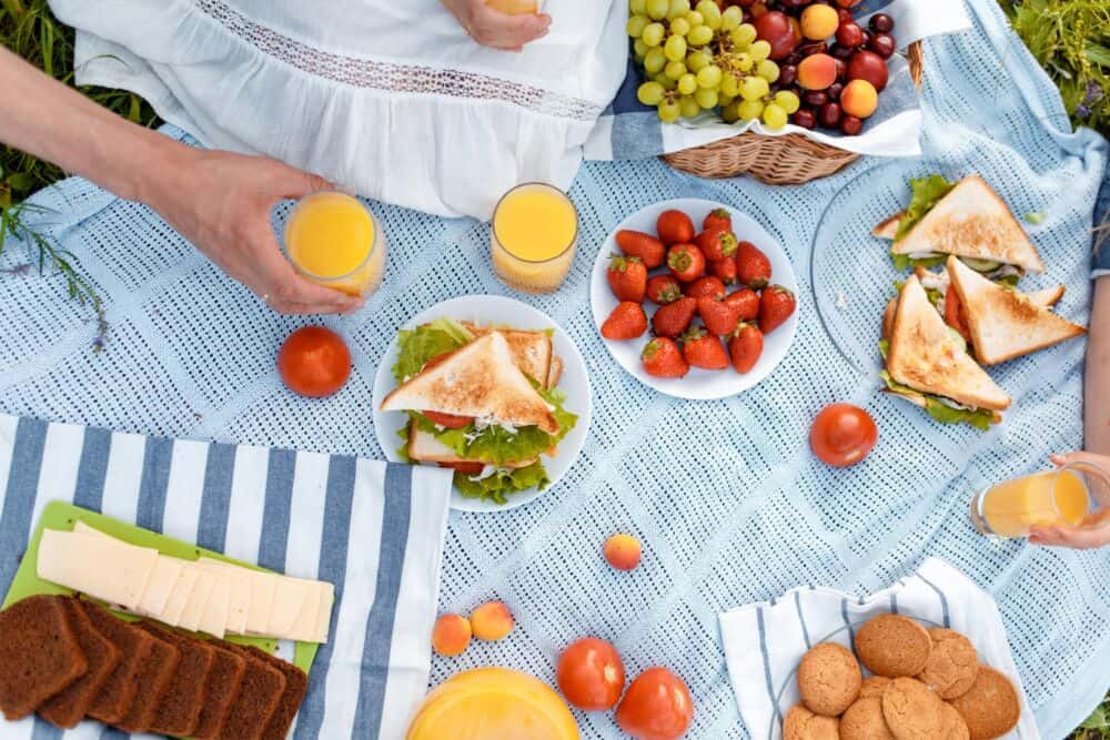 Piknikas gamtoje: kas vilioja vabzdžius ir kaip jų išvengti?