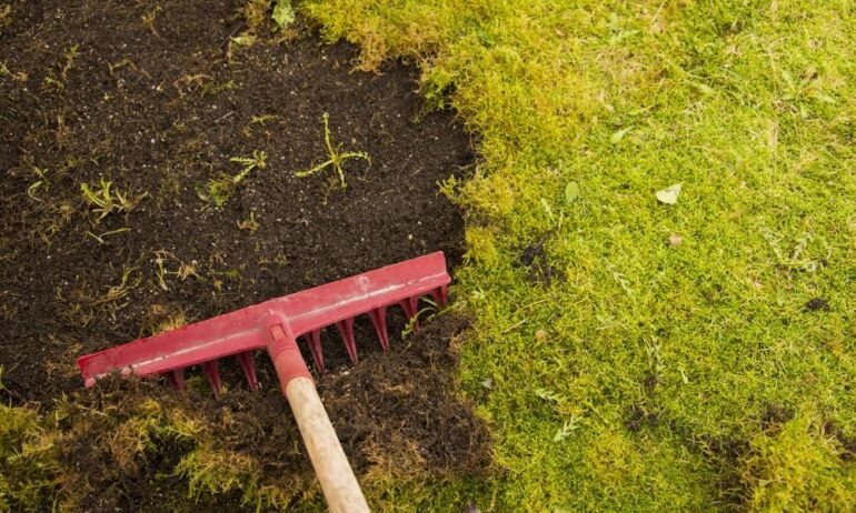 Plėvelės nuo piktžolių: kaip pasirinkti ir neapsigauti
