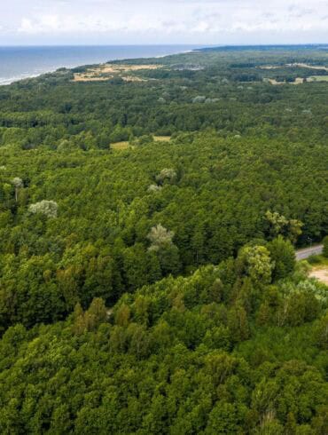 Poilsio ir ramybės oazė Lietuvos pajūryje – gardus kąsnelis NT pirkėjams
