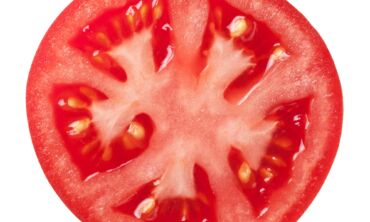 Pomidorų gidas – kokie jūsų mėgstamiausi?