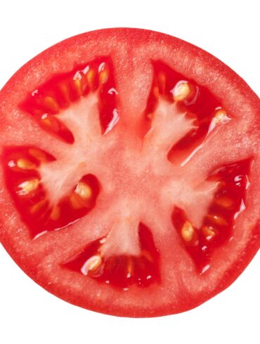 Pomidorų gidas – kokie jūsų mėgstamiausi?