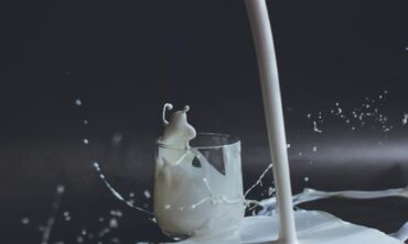 Riebūs ar liesi pieno produktai naudingesni sveikatai? Gydytojas dietologas sklaido mitus