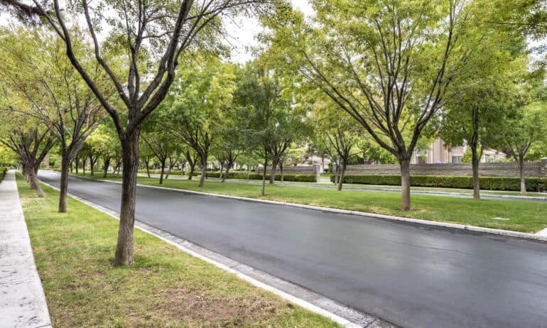 Savaitgalį praūžusi vėtra sostinės parkuose išvertė 35 brandžius medžius