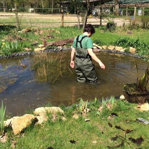 Tvenkinių įžuvinimas bei apželdinimas: ką svarbu žinoti
